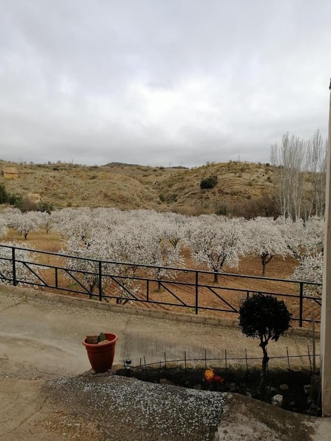 Castejón de las Armas Apartamentos Rurales Camino Del Cid מראה חיצוני תמונה