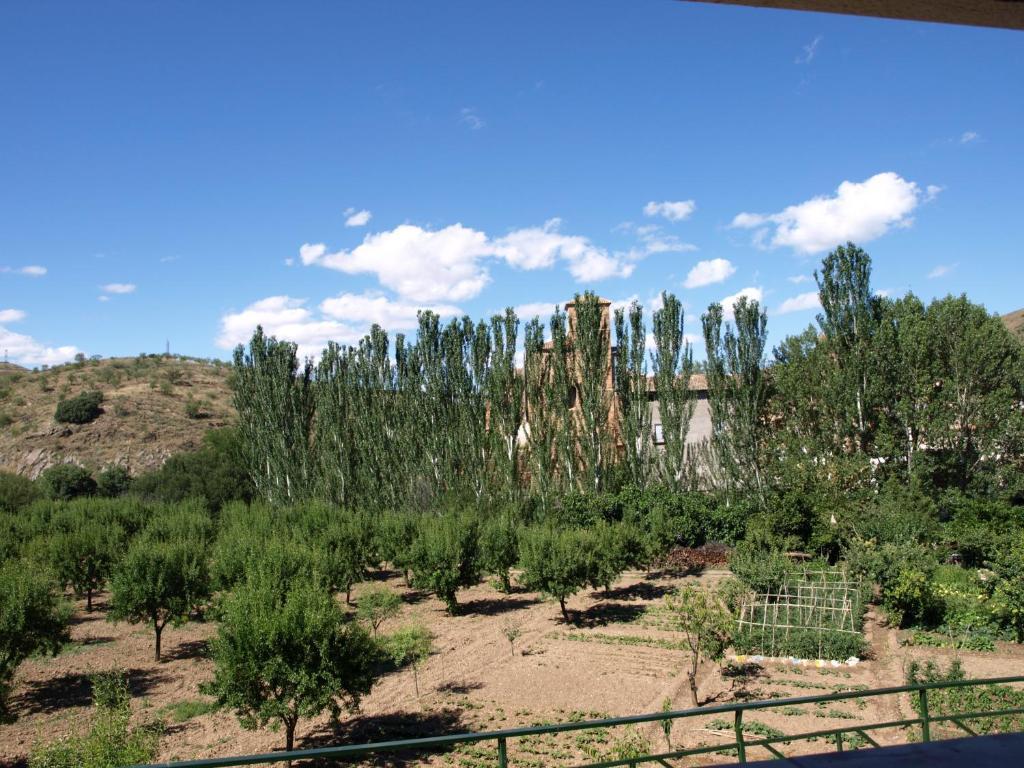 Castejón de las Armas Apartamentos Rurales Camino Del Cid מראה חיצוני תמונה
