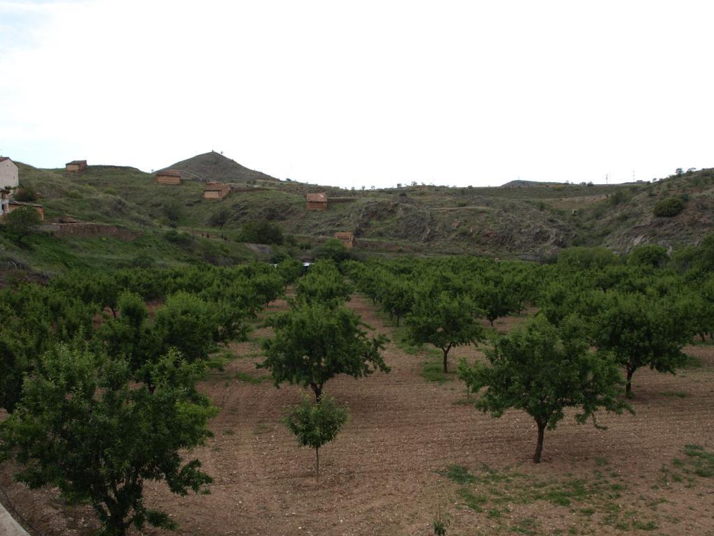 Castejón de las Armas Apartamentos Rurales Camino Del Cid מראה חיצוני תמונה
