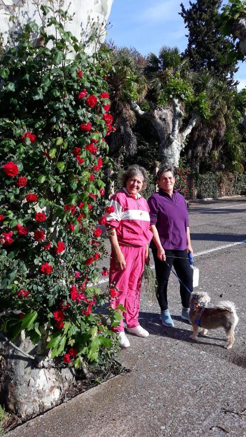 Castejón de las Armas Apartamentos Rurales Camino Del Cid מראה חיצוני תמונה